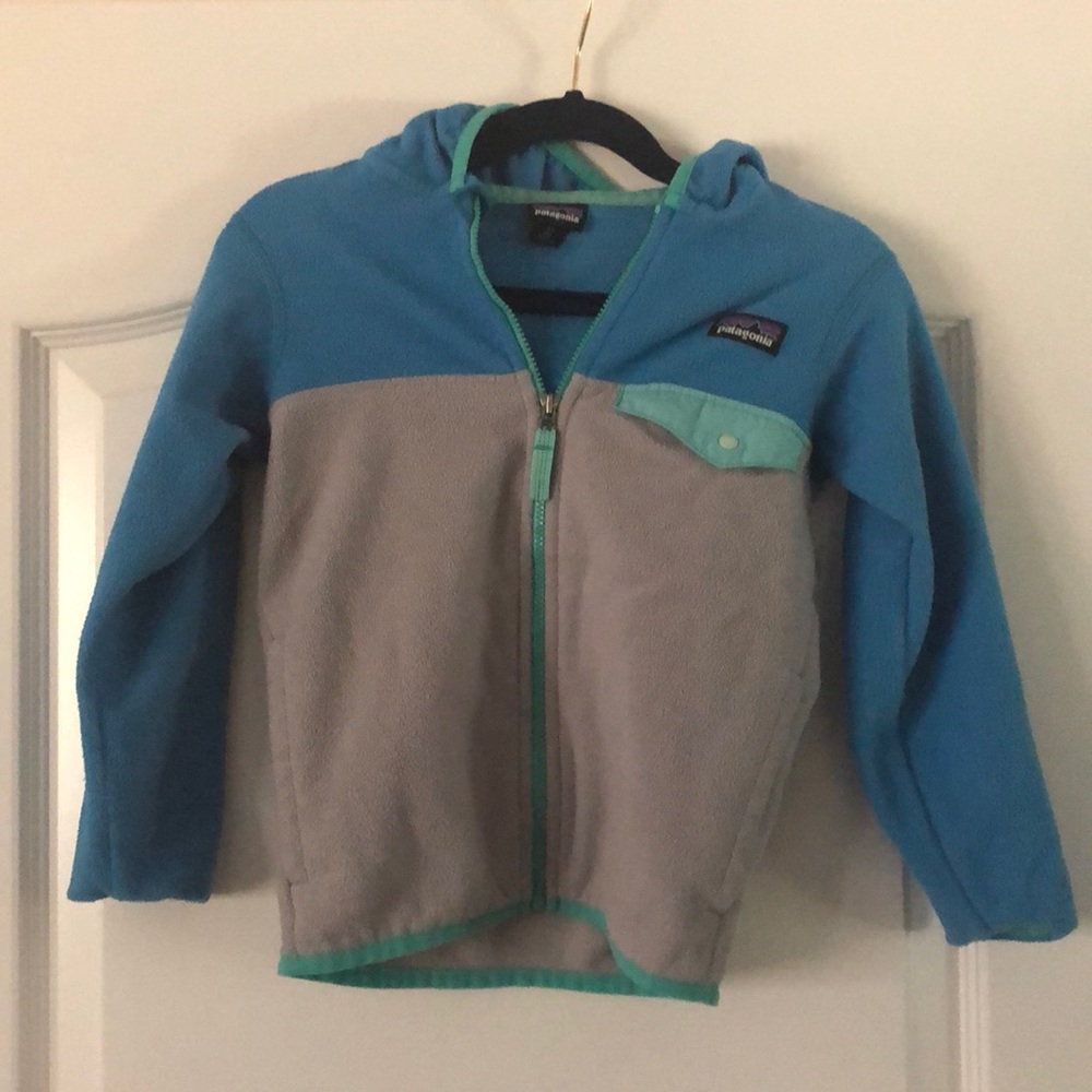 Patagonia Zip up Fleece with Hood
